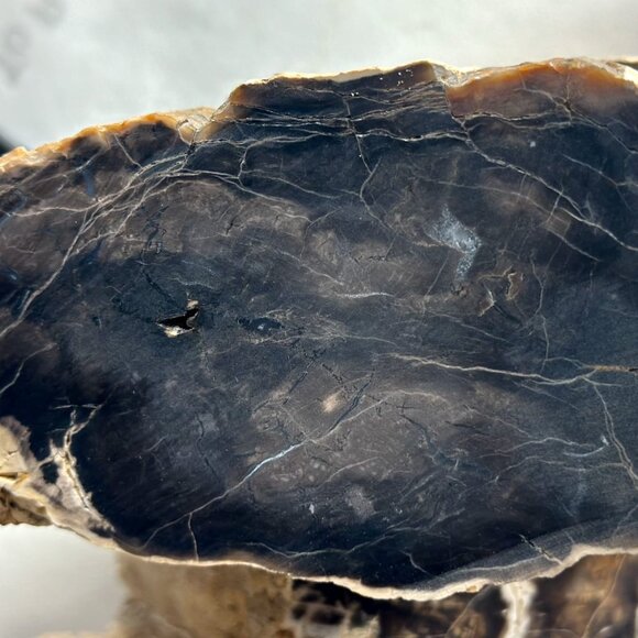 Petrified wood slabs, from Madagascar. ( 3 ) three pieces
